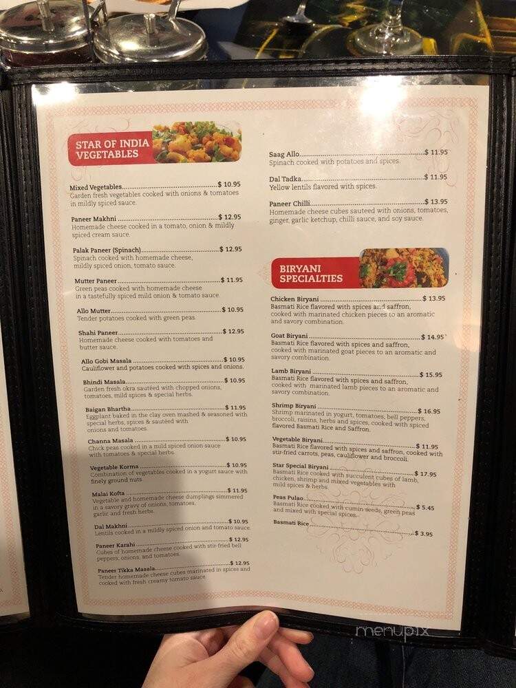 Star of India - Peachtree City, GA menu_pic