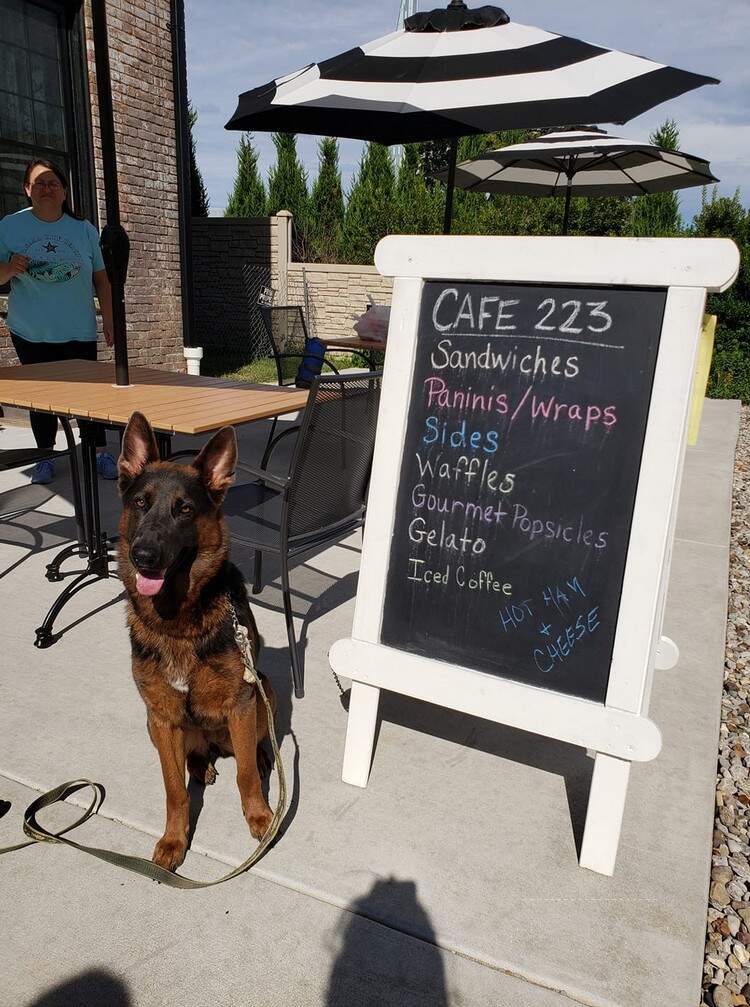 Cafe 223 - Jeffersonville, IN