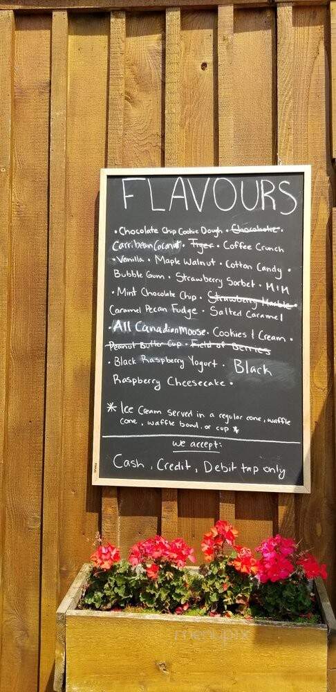 Mighty Moose Ice Cream - Chilliwack, BC menu_pic