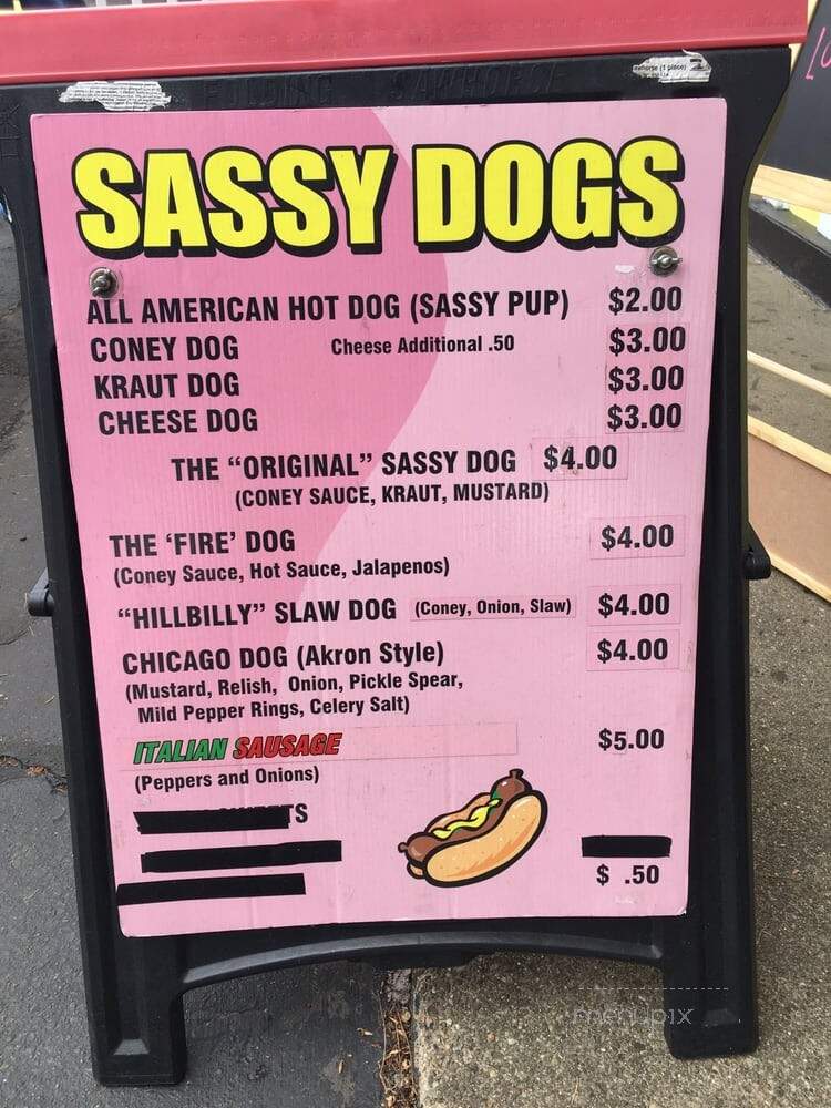 Sassy Dog - Norton, OH