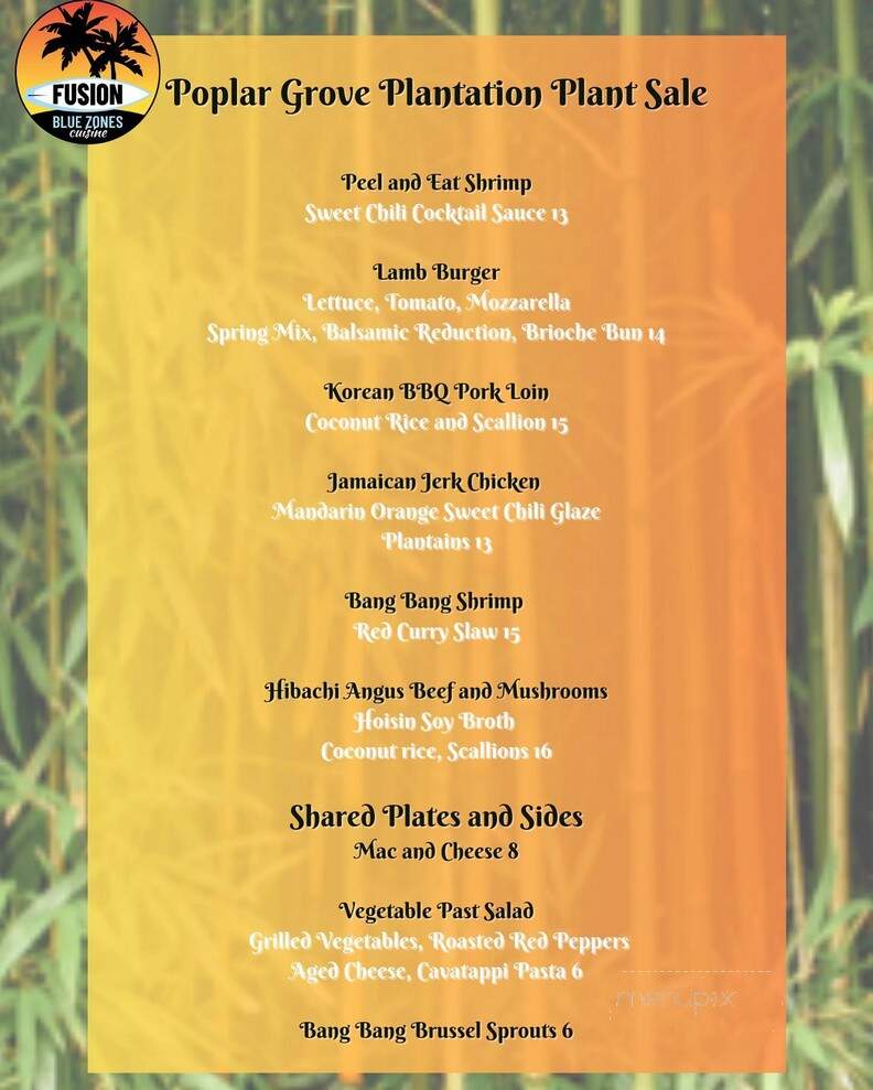 Fusion Blue Zones Cuisine - Holly Ridge, NC menu_pic