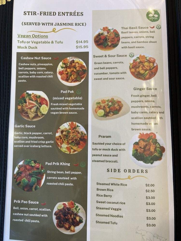 Green Elephants Restaurant - Watkins Glen, NY menu_pic
