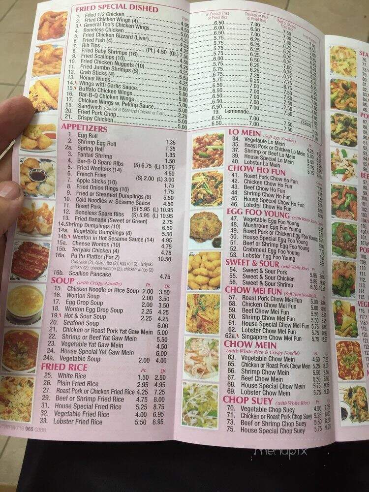 New Hong Kong Kitchen - Brooklyn, NY menu_pic