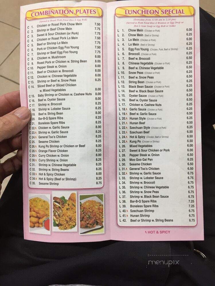 New Hong Kong Kitchen - Brooklyn, NY menu_pic