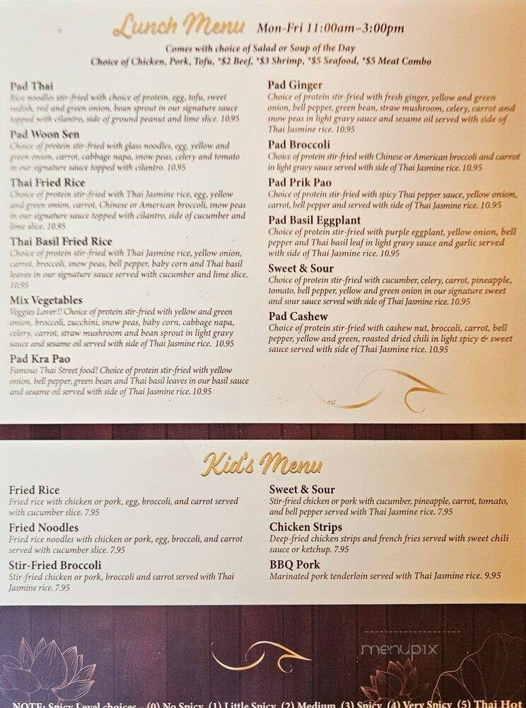 Thai Chili - San Antonio, TX menu_pic