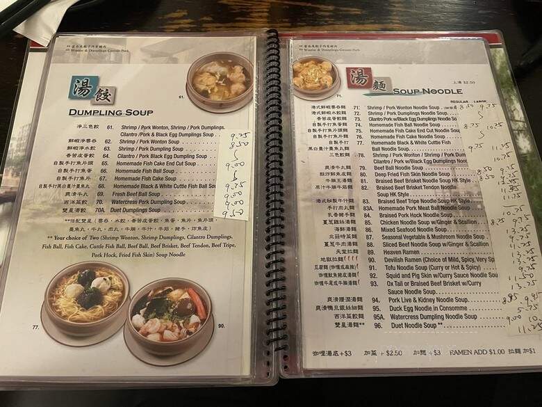Noodle Village - New York, NY menu_pic