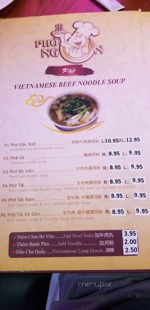 Pho Ngon Vietnamese Noodle Soup & Restaurant - Houston, TX