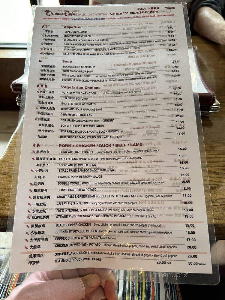 Oriental Cafe - Harrisonburg, VA menu_pic