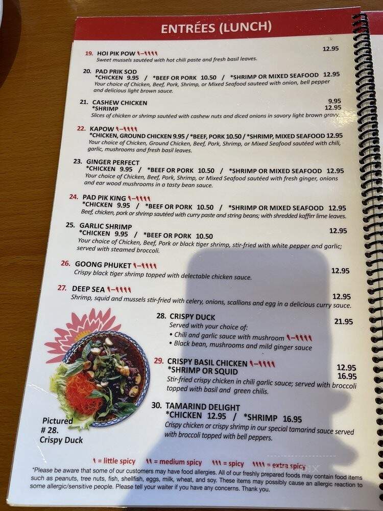 Thai House - Gaithersburg, MD menu_pic