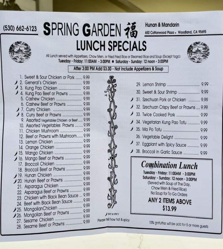 Shanghai Garden Chinese - Woodland, CA menu_pic