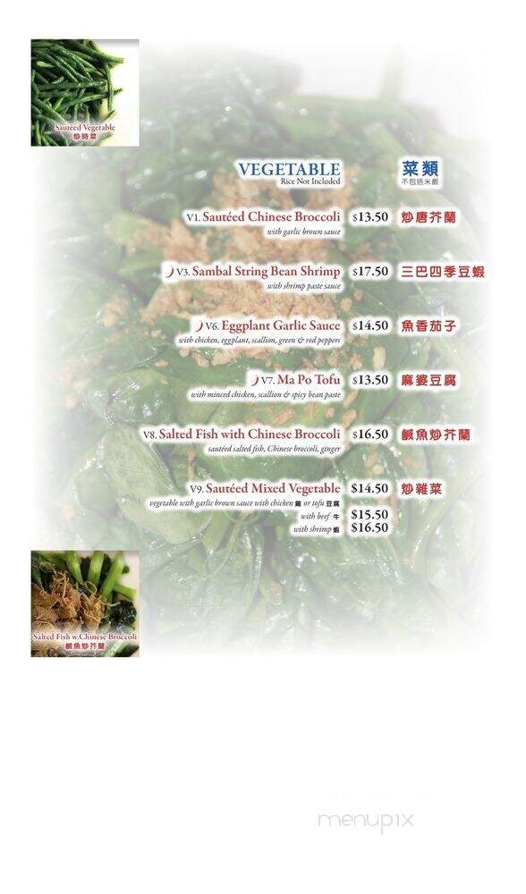 Asian Gourmet - Flushing, NY menu_pic