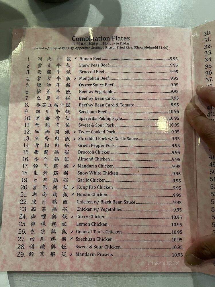 Hong Kong City - Union City, CA menu_pic
