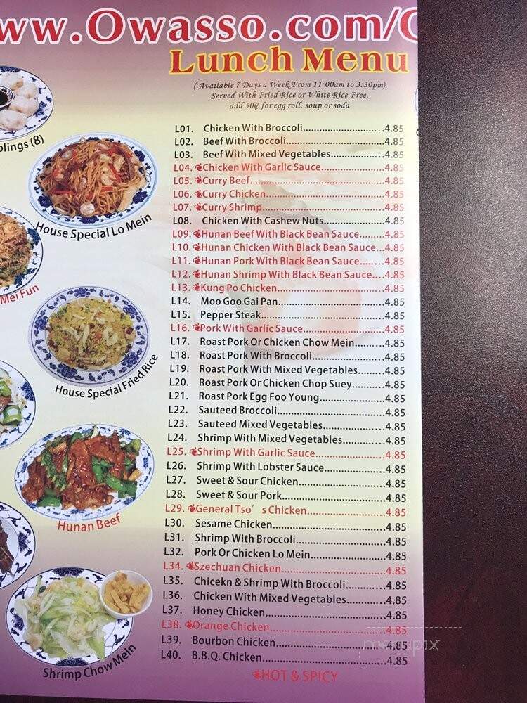 China Wok - Owasso, OK menu_pic