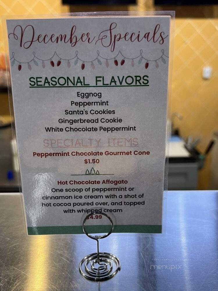 Tanya & Matts Ice Cream - Tampa, FL menu_pic