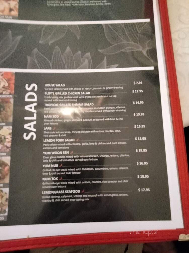 Esarn Thai Restaurant - Houston, TX menu_pic