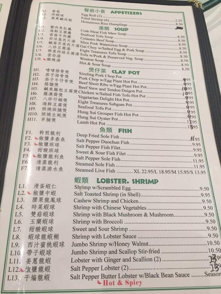 Lucky Dragon Chinese Restaurant - Houston, TX