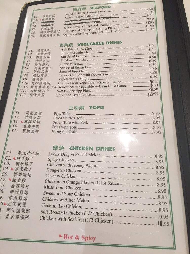 Lucky Dragon Chinese Restaurant - Houston, TX