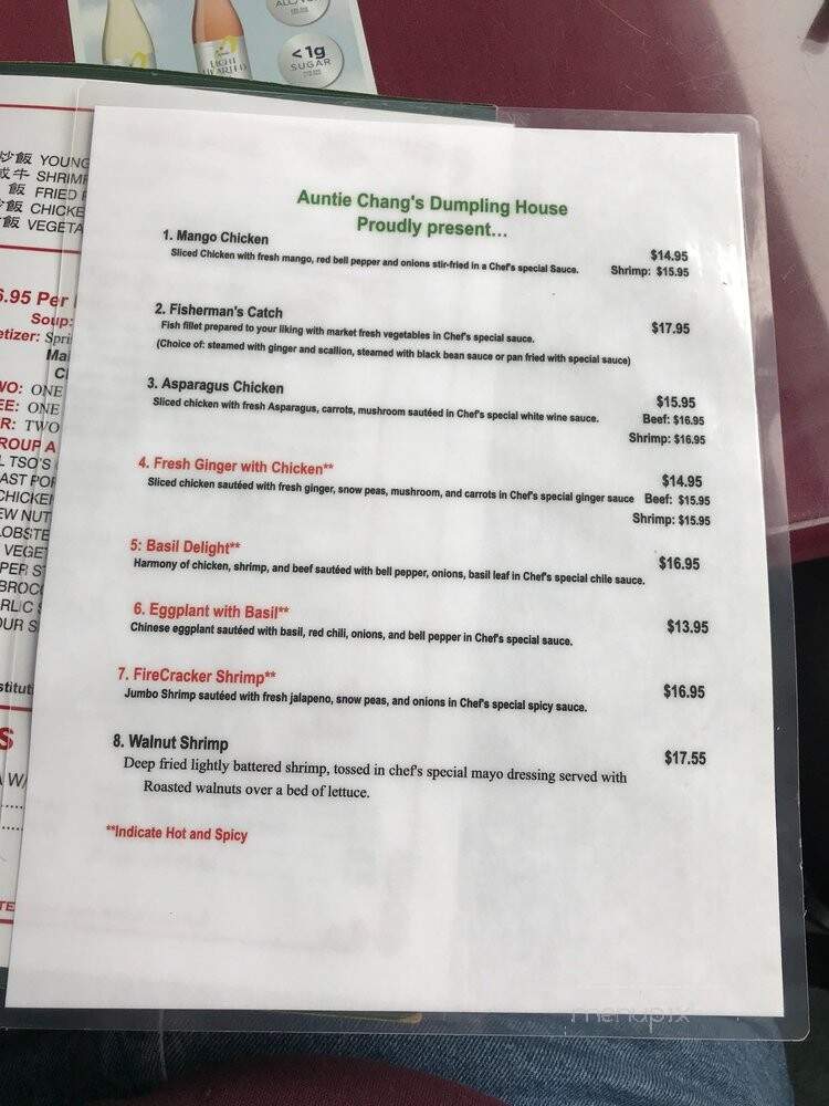 Auntie Chang's Dumpling House - Houston, TX