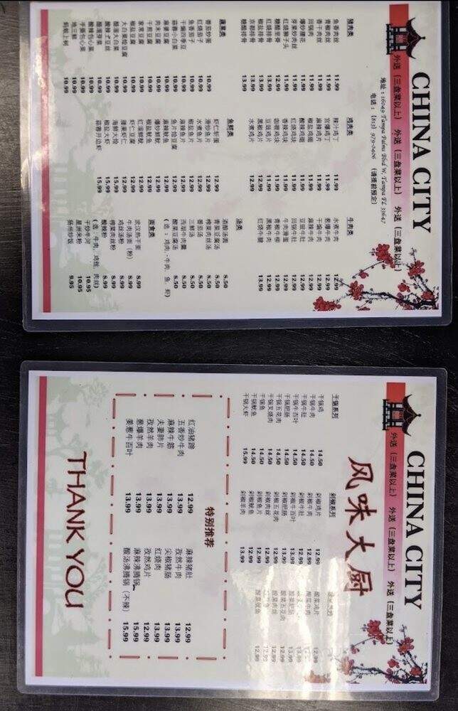 China City - Tampa, FL menu_pic