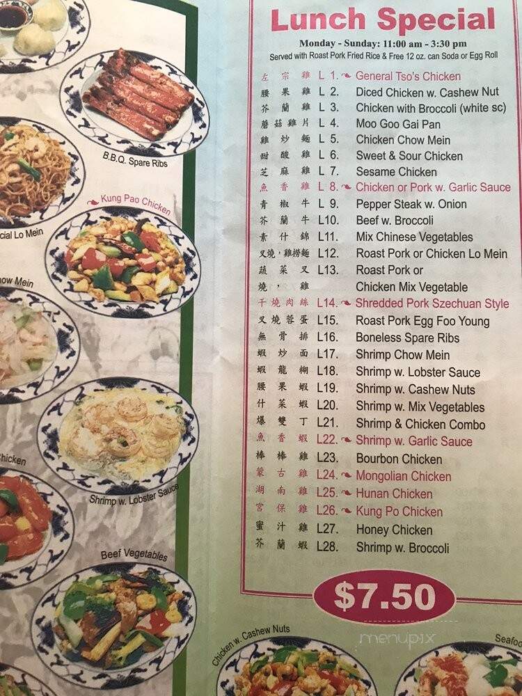 China One - Tampa, FL menu_pic