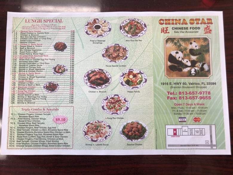 China Star - Valrico, FL menu_pic