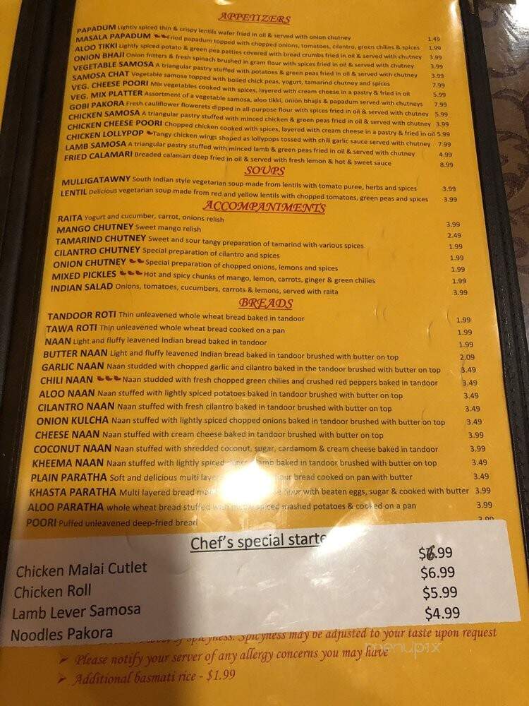 Indian Cuisine - Gainesville, FL