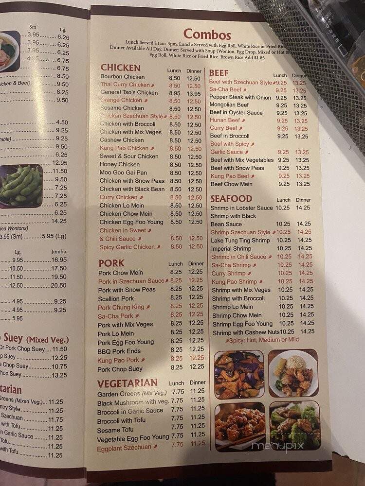Mandarin Village Chinese - Plantation, FL menu_pic