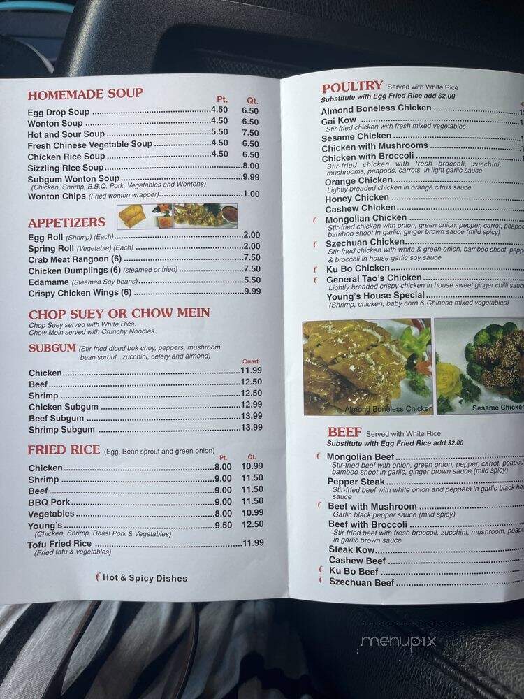 Young's Chinese Food Carryout - Royal Oak, MI menu_pic