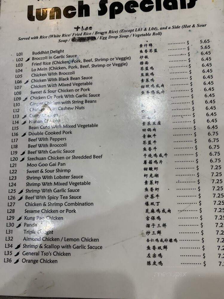 Gourmet Village Chinese Restaurant - East Lansing, MI menu_pic