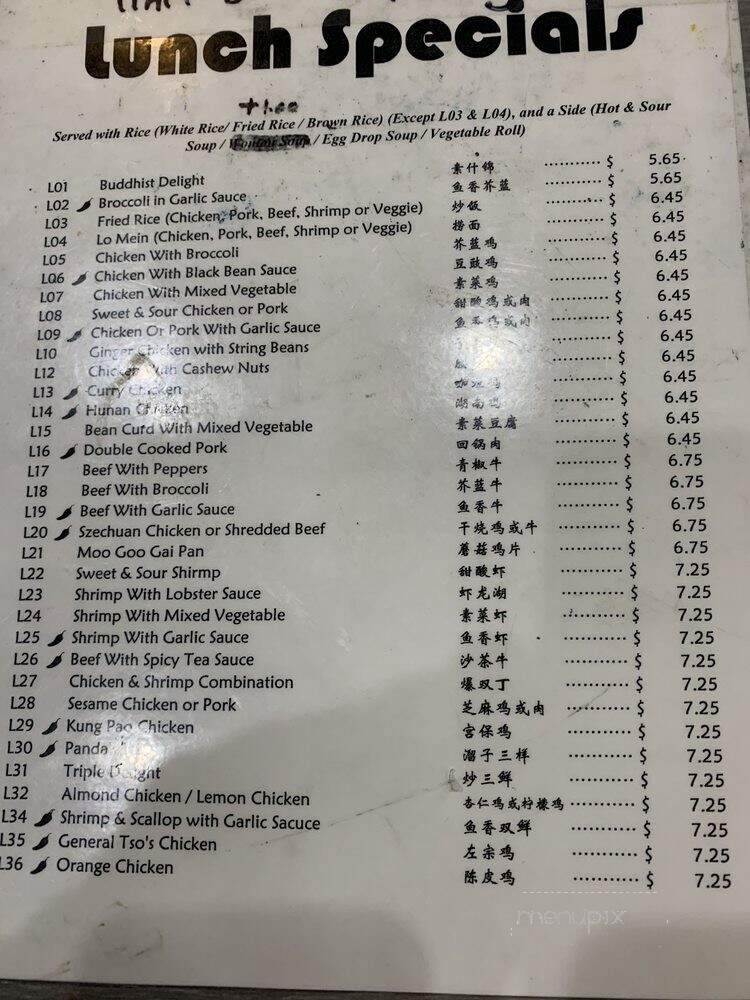 Gourmet Village Chinese Restaurant - East Lansing, MI menu_pic