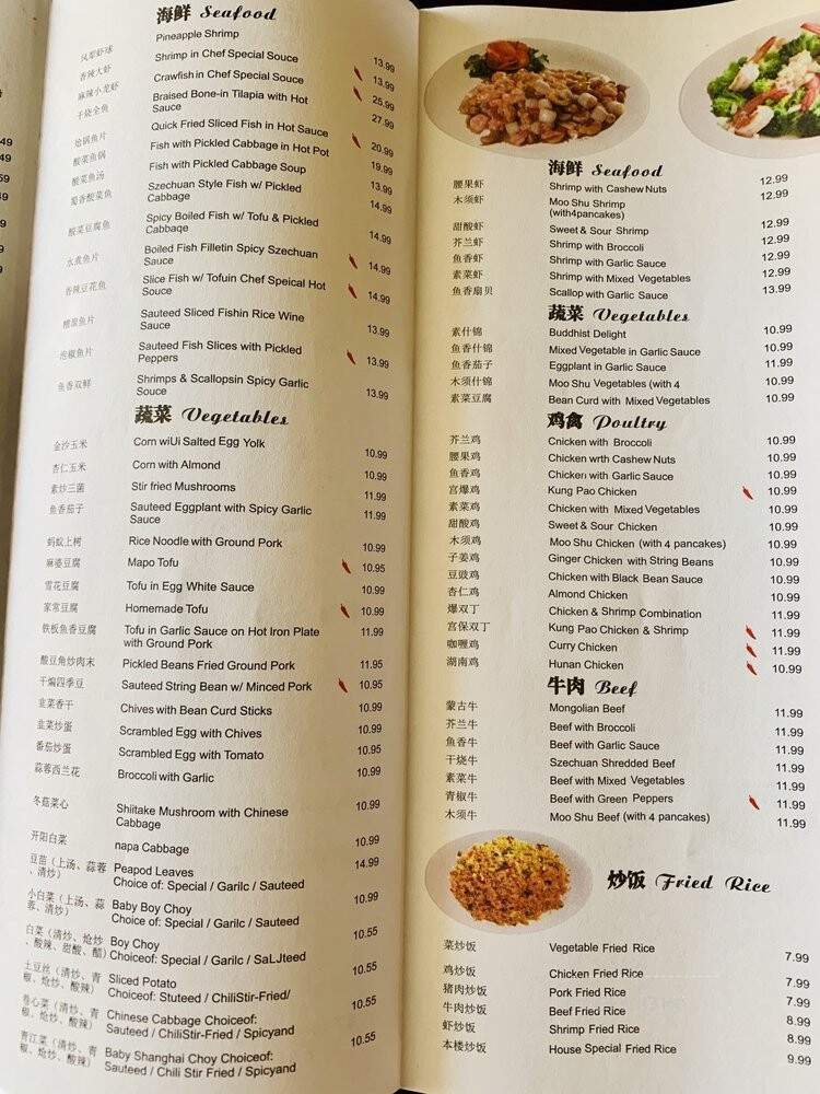 Gourmet Village Chinese Restaurant - East Lansing, MI menu_pic