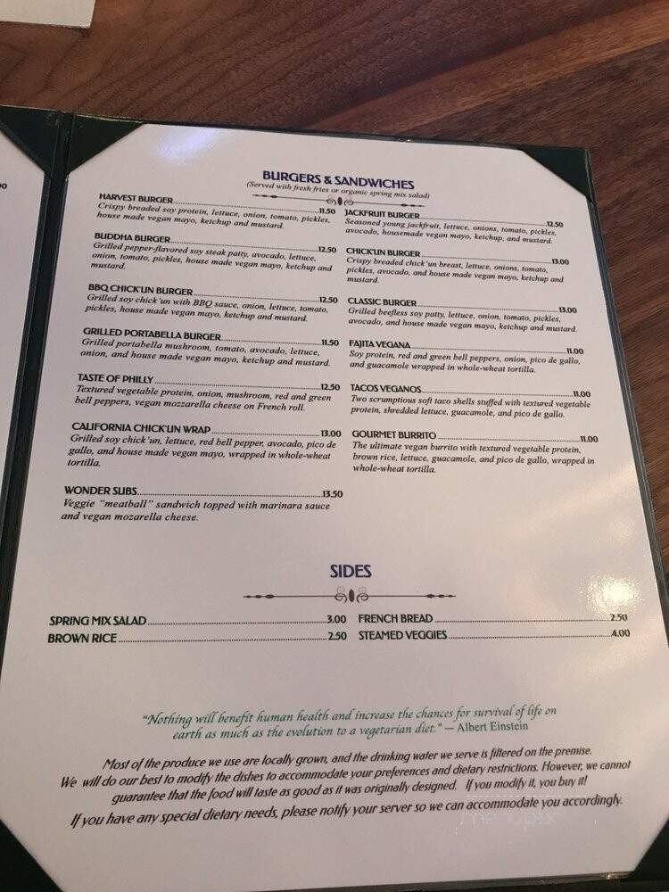 Green Earth Vegetarin Cuisine - Toronto, ON menu_pic