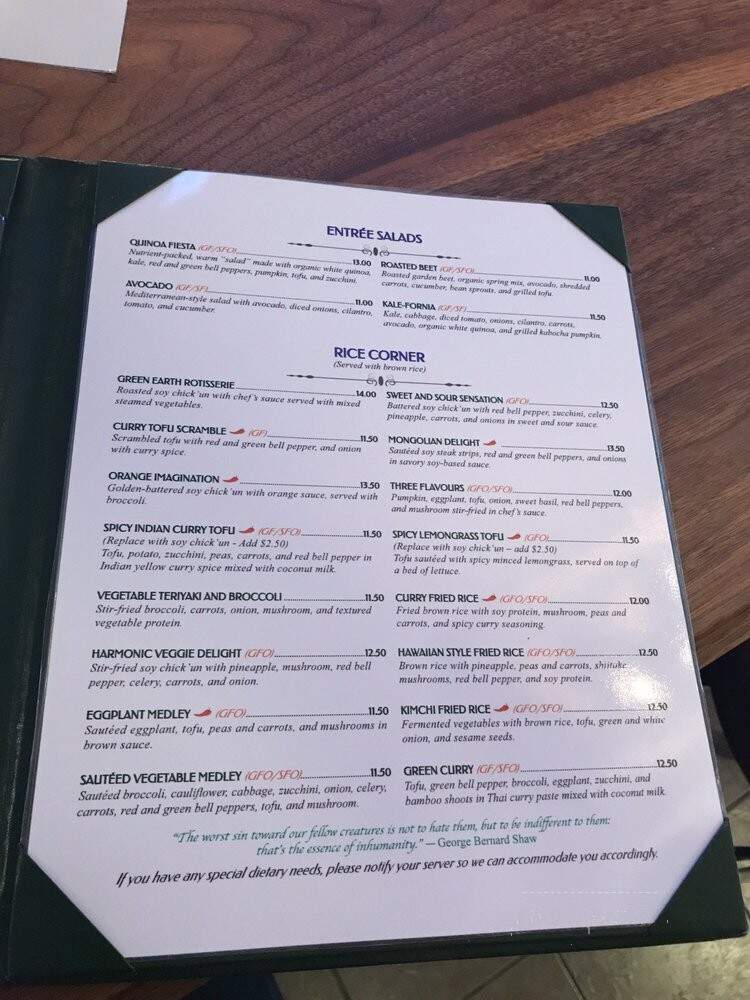 Green Earth Vegetarin Cuisine - Toronto, ON menu_pic