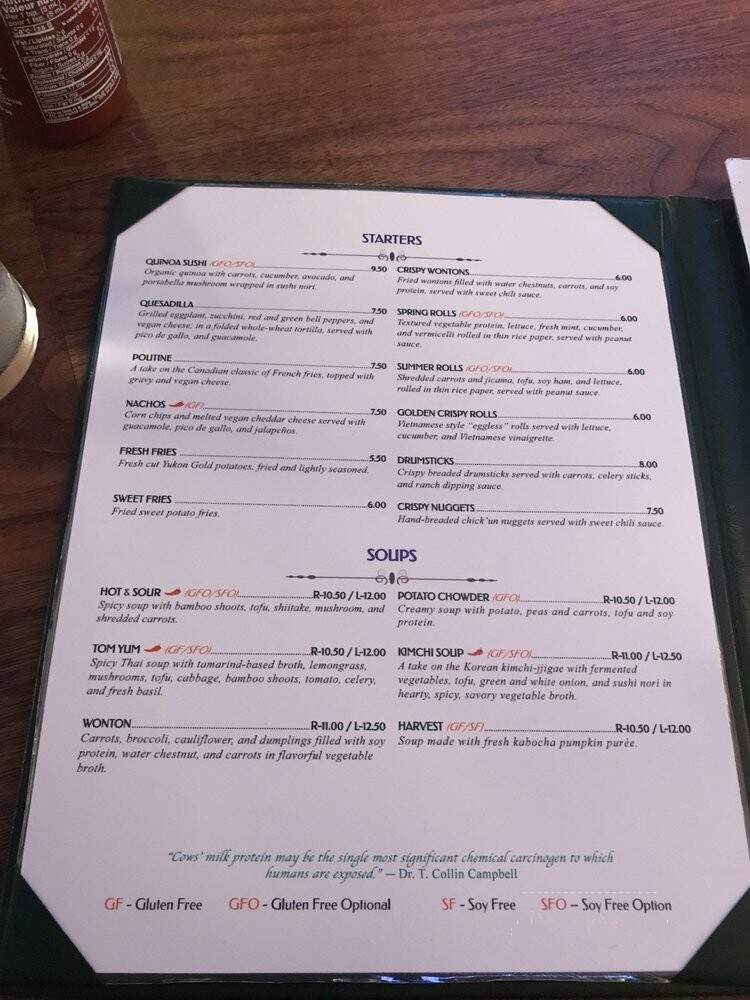 Green Earth Vegetarin Cuisine - Toronto, ON menu_pic