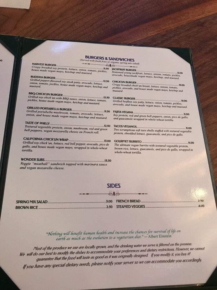 Green Earth Vegetarin Cuisine - Toronto, ON menu_pic