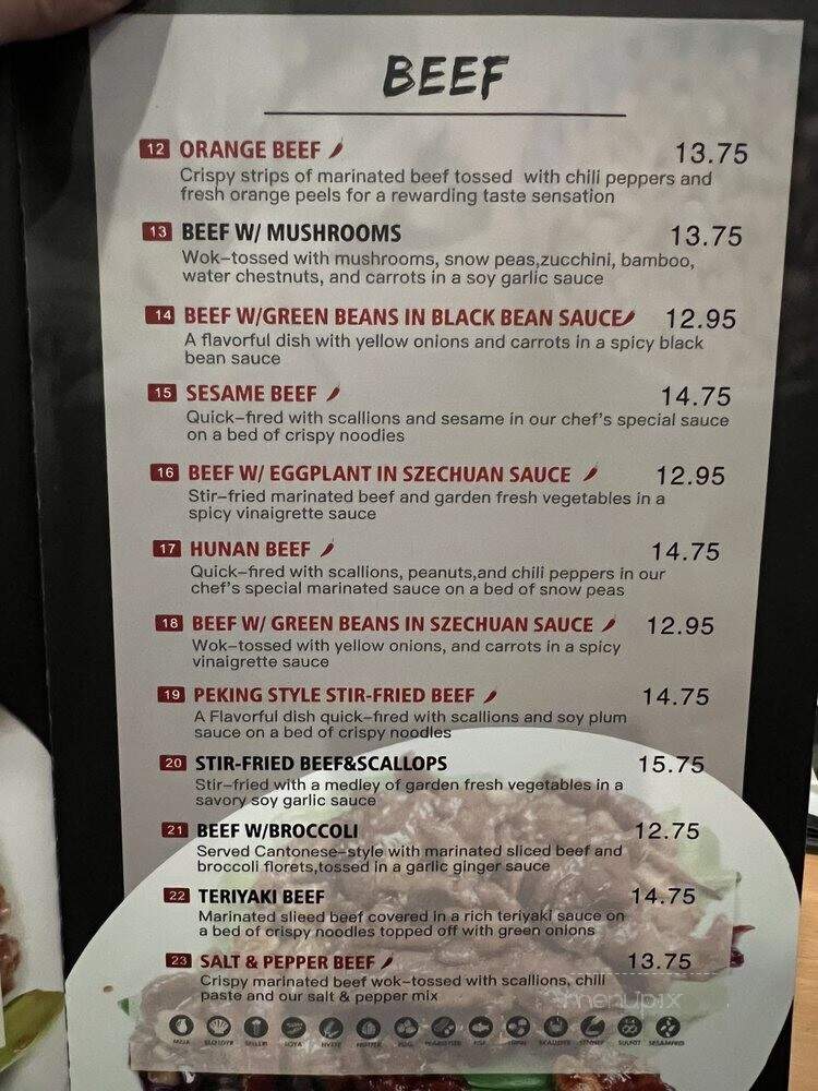 Wok Of Flame - Etobicoke, ON menu_pic
