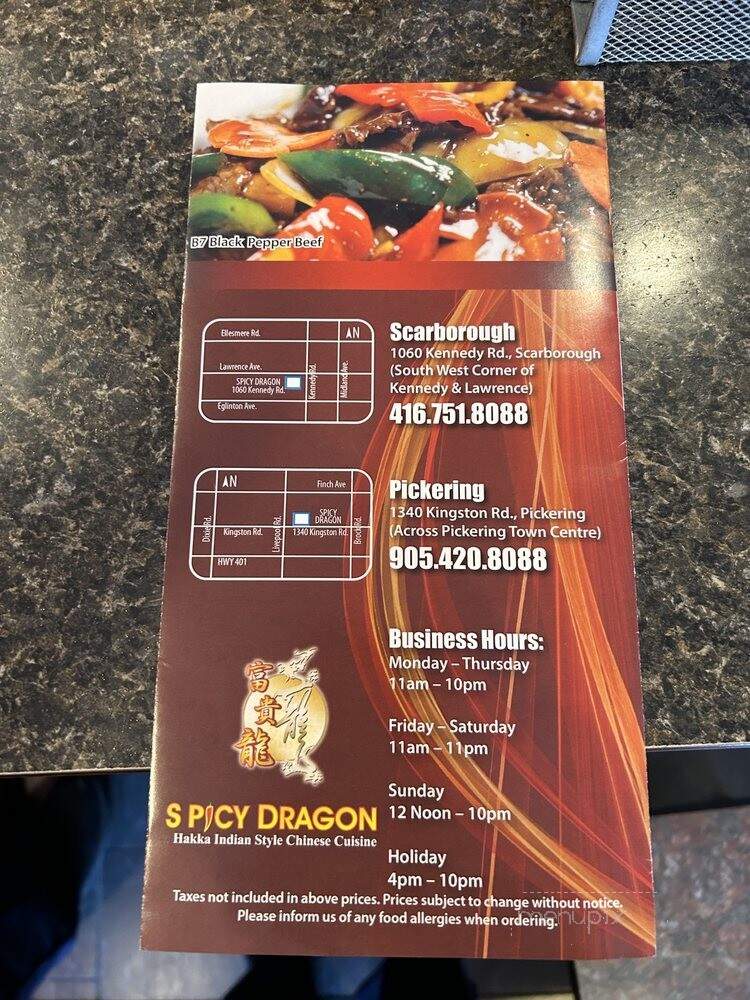 Spicey Dragon Restaurant - Toronto, ON