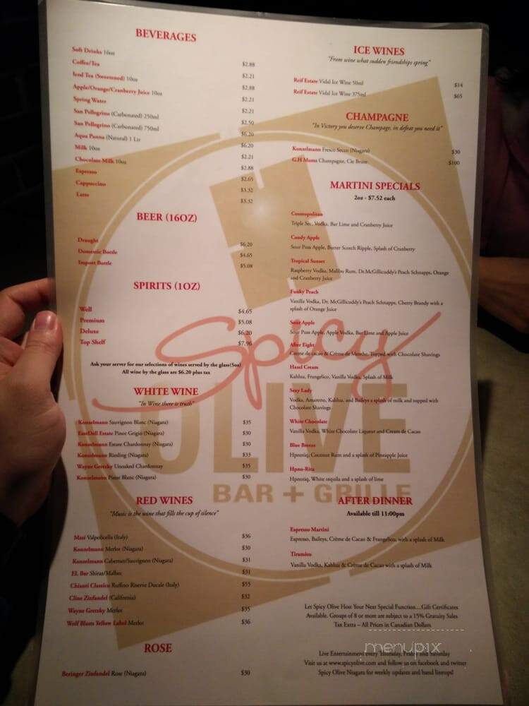 Spicy Olive Bar and Grill - Niagara Falls, ON menu_pic