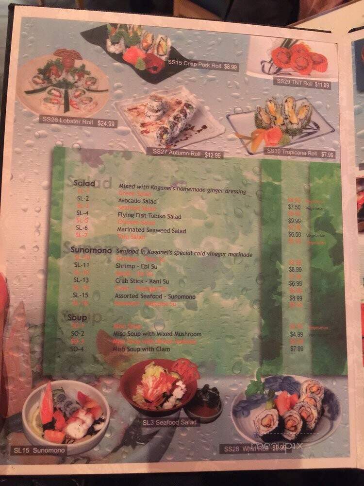 Koganei Japanese Restaurant - Vaughan, ON menu_pic
