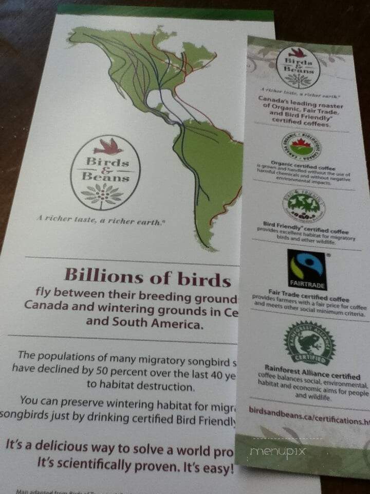 Birds and Beans Cafe - Toronto, ON menu_pic