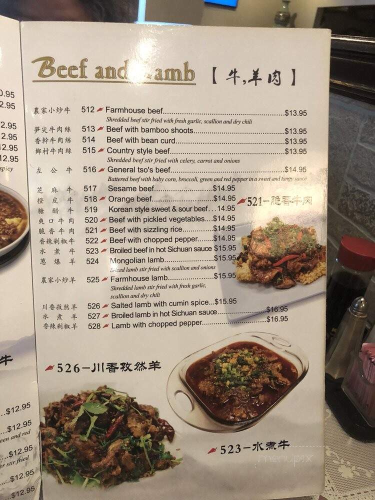 Mapo Restaurant - Naperville, IL menu_pic