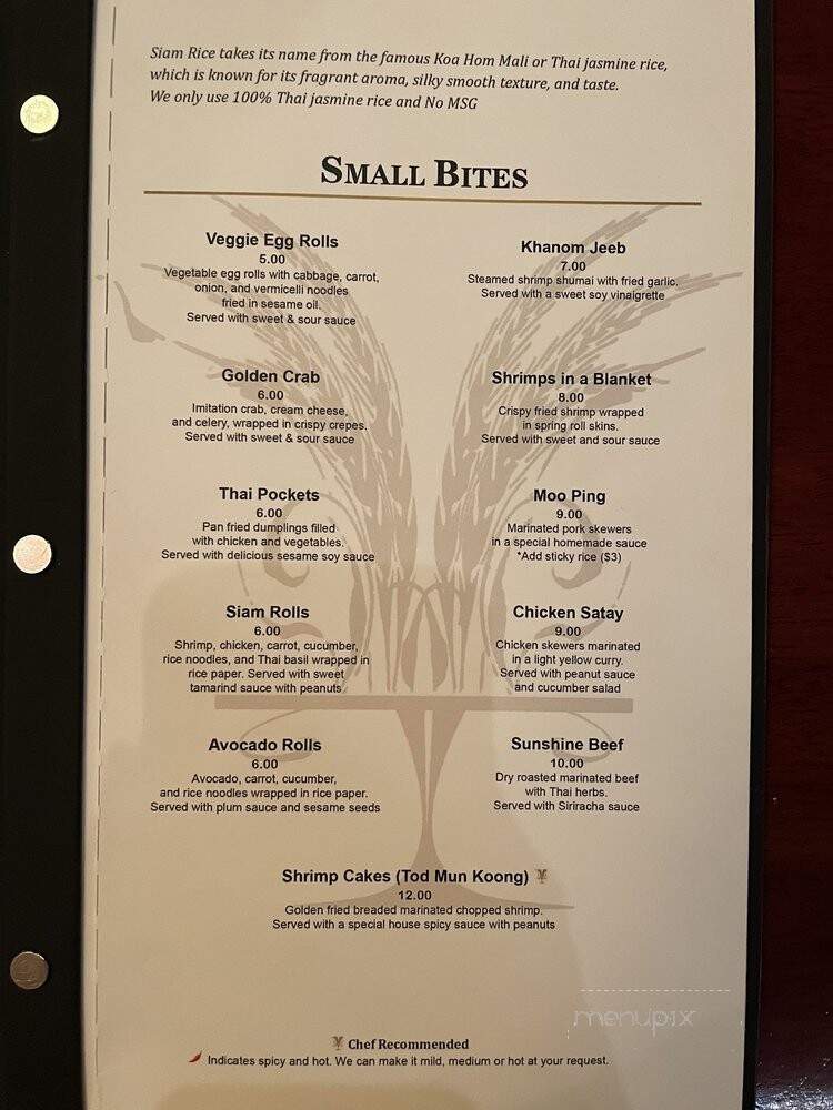 Siam Rice - Chicago, IL menu_pic