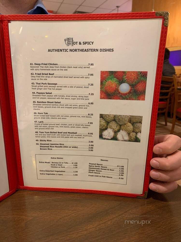 Ditthagan Sinthpong - Chicago, IL menu_pic