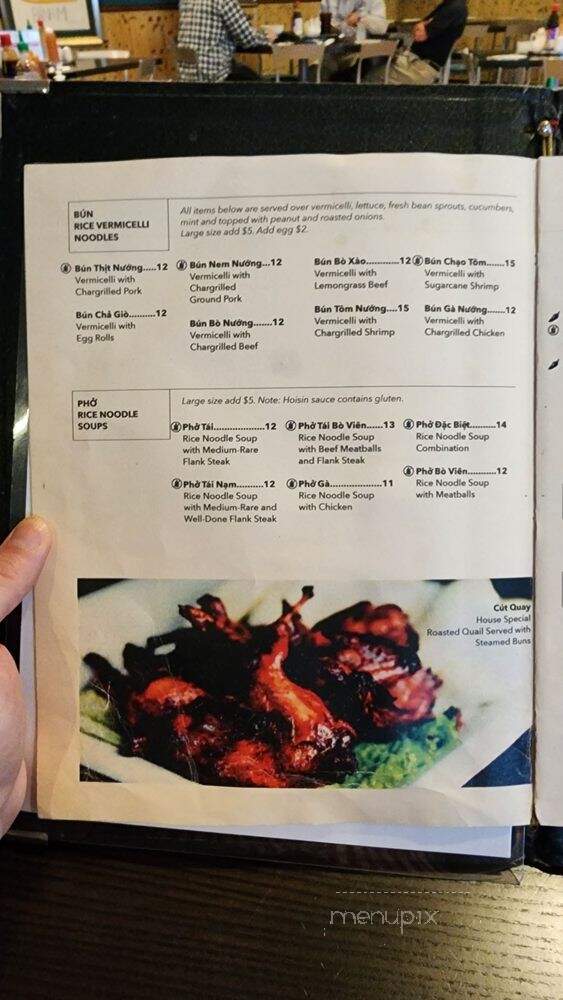Hoa Hong 9 - Gretna, LA menu_pic