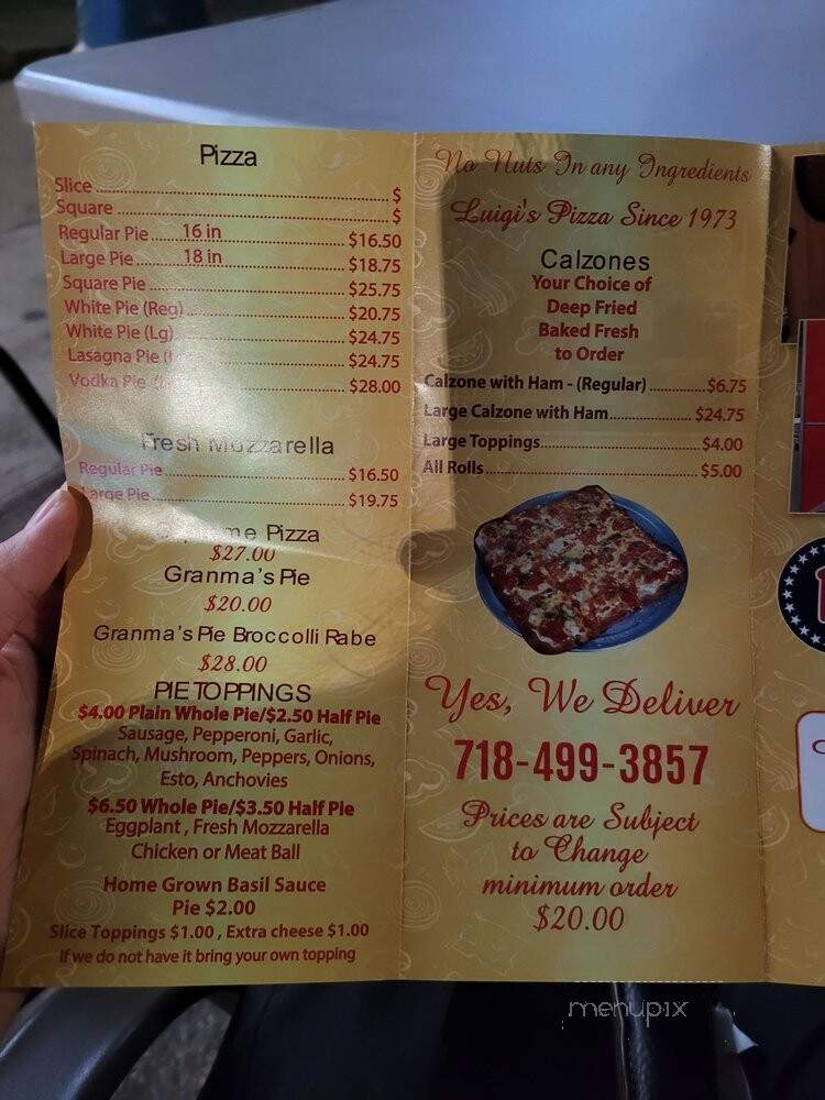 Luigi's Pizza - Brooklyn, NY menu_pic