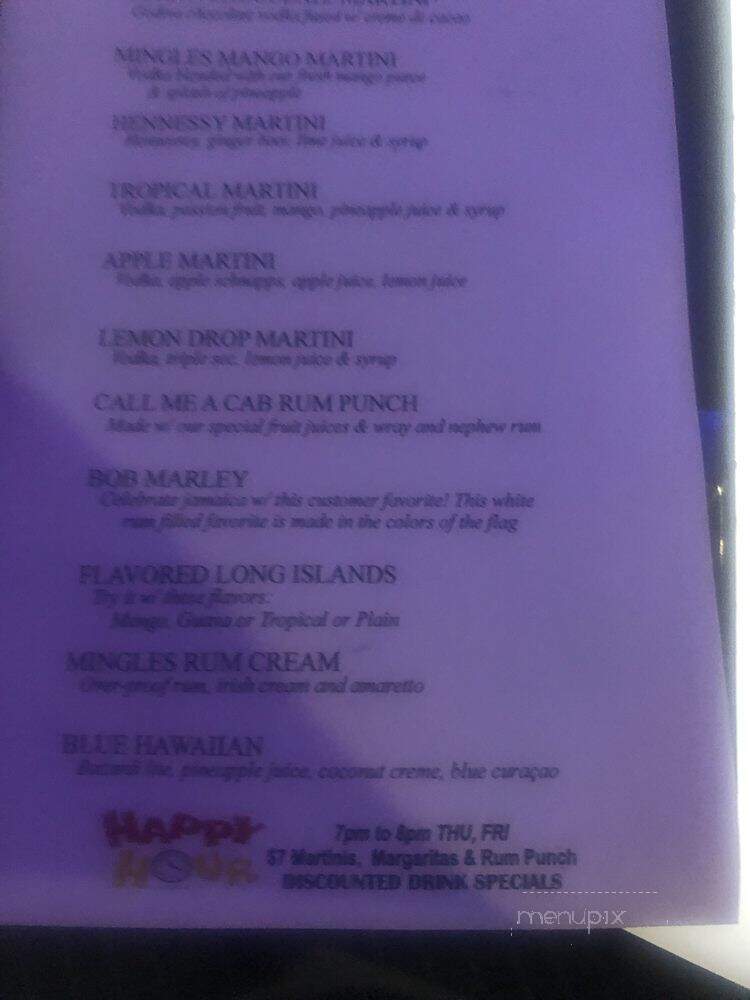 Mingles - Bronx, NY menu_pic