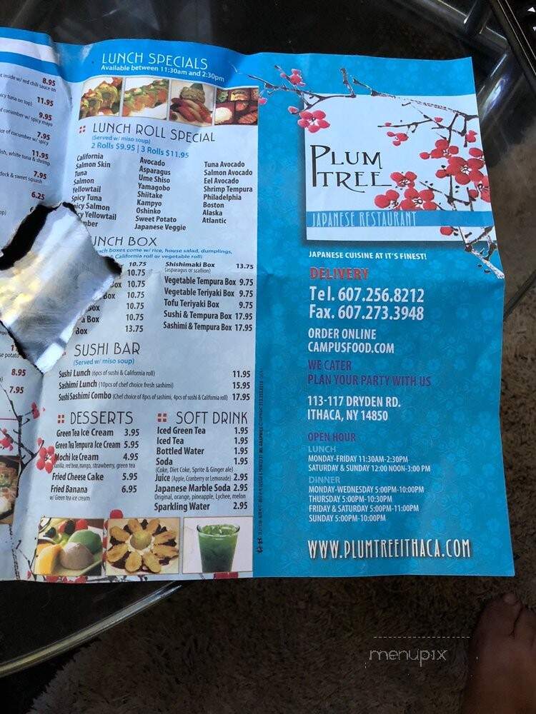 Plum Tree Japanese Restaurant - Ithaca, NY menu_pic