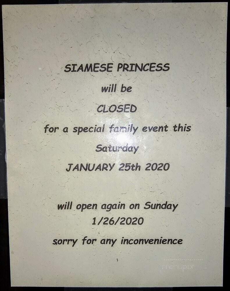 Siamese Princess - Ardmore, PA