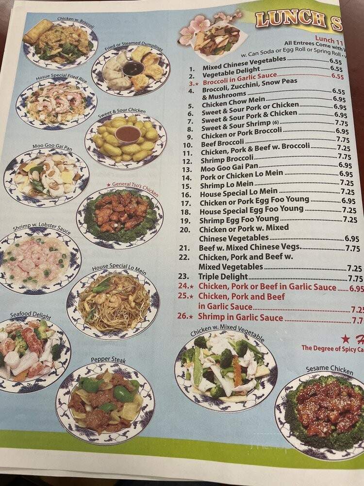 China Wok - Hendersonville, TN menu_pic