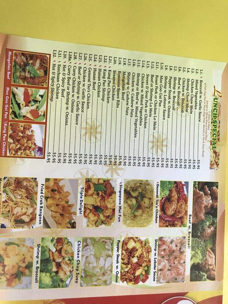 China Dragon - Nashville, TN menu_pic